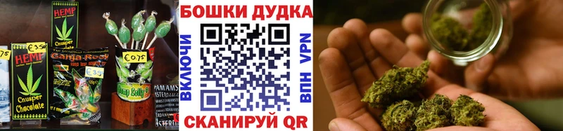 Canna-Cookies марихуана  Купить закладки  Дивногорск 