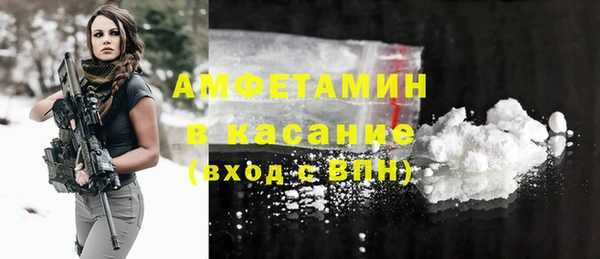 молекула духа Карпинск