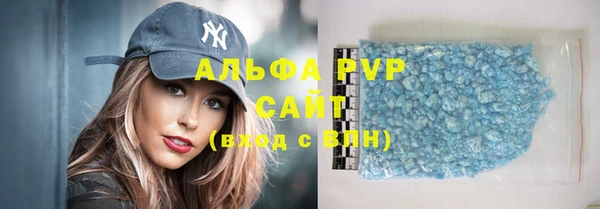 молекула духа Карпинск