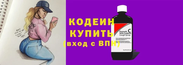 хмурый Касимов