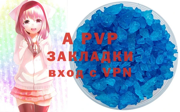 хмурый Касимов