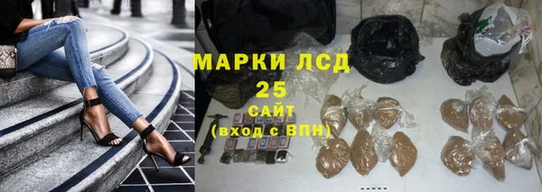 молекула духа Карпинск