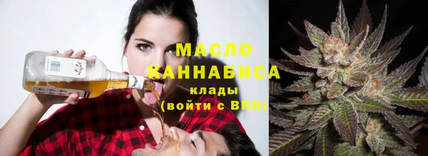 молекула духа Карпинск