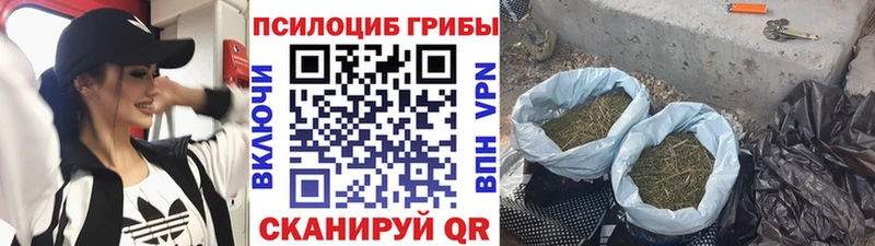 Купить  Дивногорск  Псилоцибиновые грибы MAGIC MUSHROOMS 